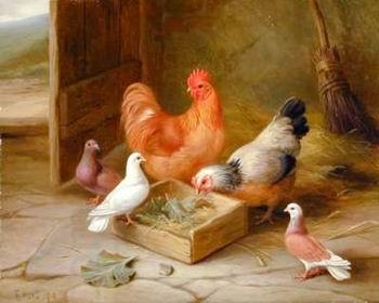 unknow artist Poultry 093 China oil painting art